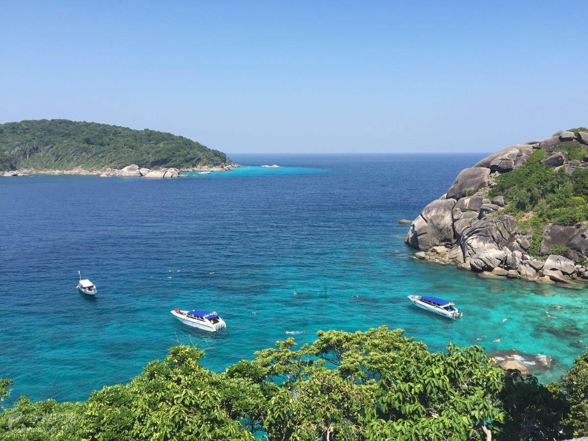 《声生不息》用音乐谱写华章 汤臣倍健yep助力肌肤好状态
