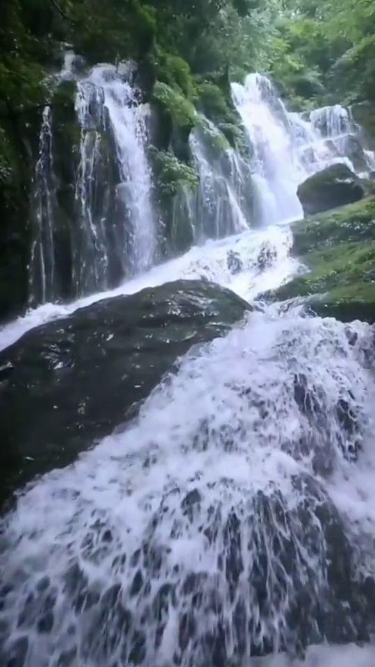 河北涿州市实行全域静默管理，居民的生活必需品是否能得到保障？游戏画面