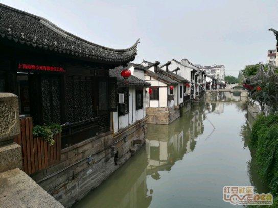 重庆市大渡口区国际贸易商会获评2023年全国“四好”商会